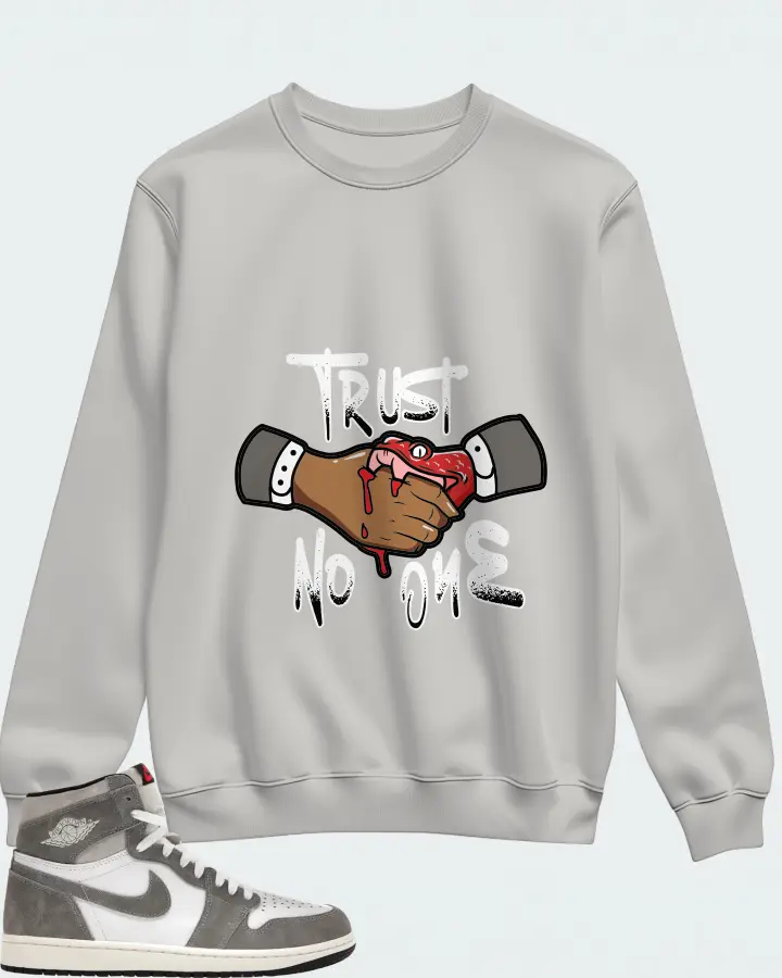 Jordan 1 Retro High OG Sneaker Matching Grey Sweatshirt - Trust No One