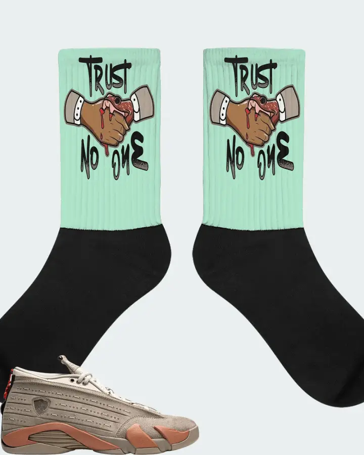 Jordan 14 Retro Sneaker Matching Mint Socks - Trust No One