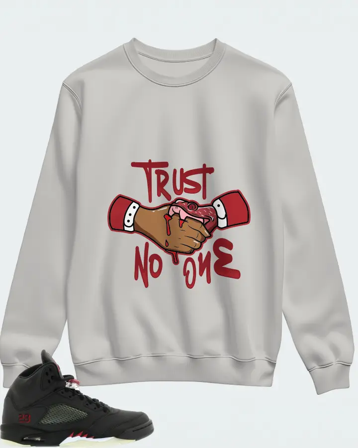 Jordan 5 Retro Sneaker Matching Grey Sweatshirt - Trust No One
