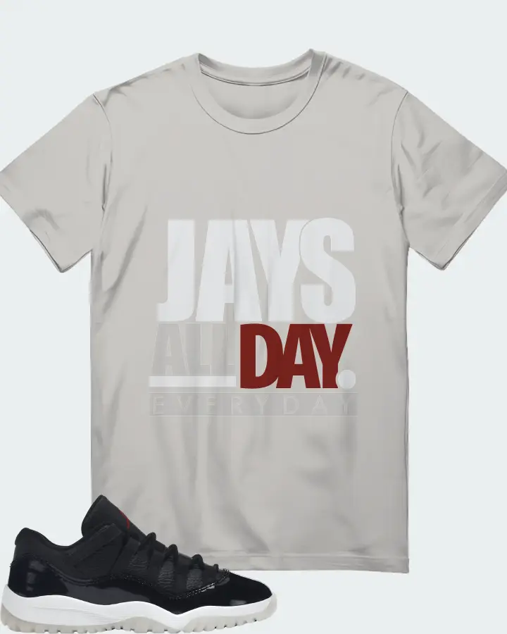 Jordan 11 Retro Low Sneaker Matching Grey T-Shirt - Jays All Day