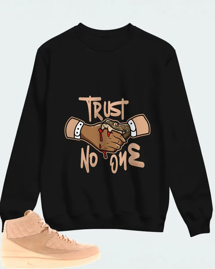 Jordan 2 Retro Sneaker Matching Black Sweatshirt - Trust No One
