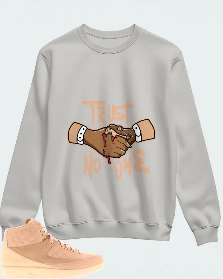 Jordan 2 Retro Sneaker Matching Grey Sweatshirt - Trust No One