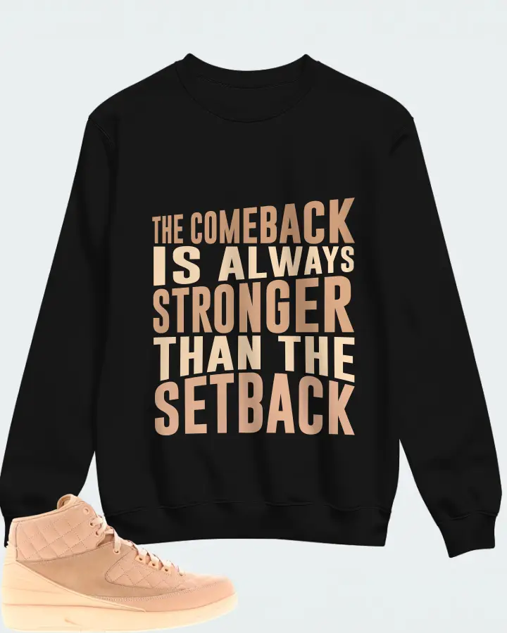 Jordan 2 Retro Sneaker Matching Black Sweatshirt - The Comeback
