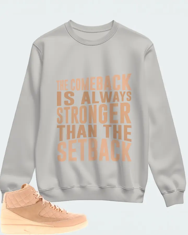 Jordan 2 Retro Sneaker Matching Grey Sweatshirt - The Comeback