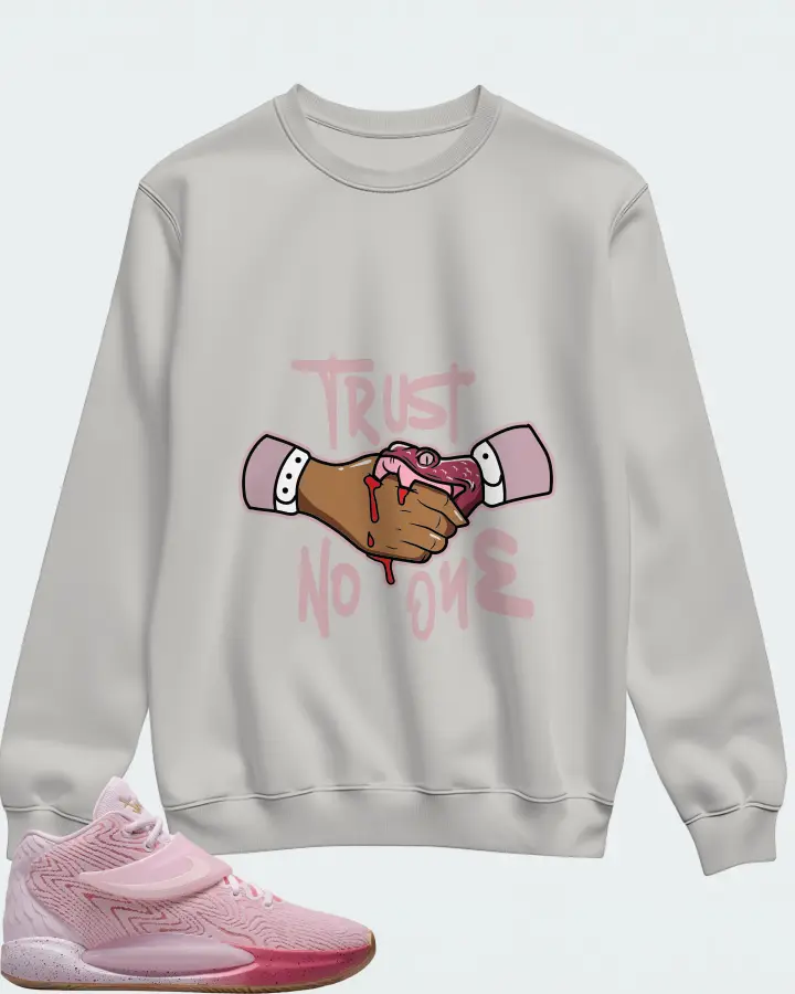 Nike KD 14 Sneaker Matching Grey Sweatshirt (Trust No One) - View 1
