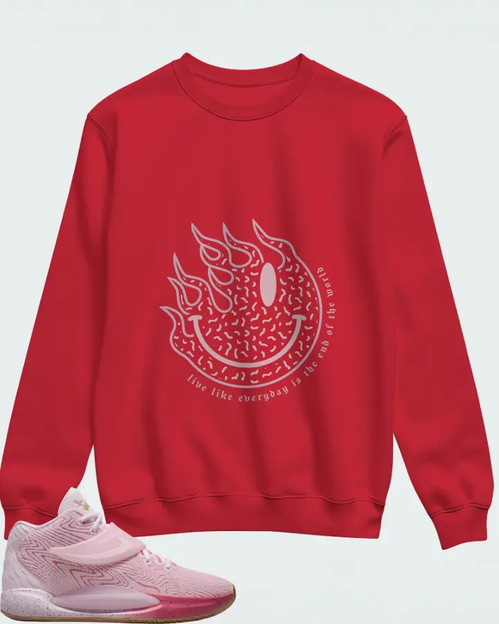 Sweatshirt in Red