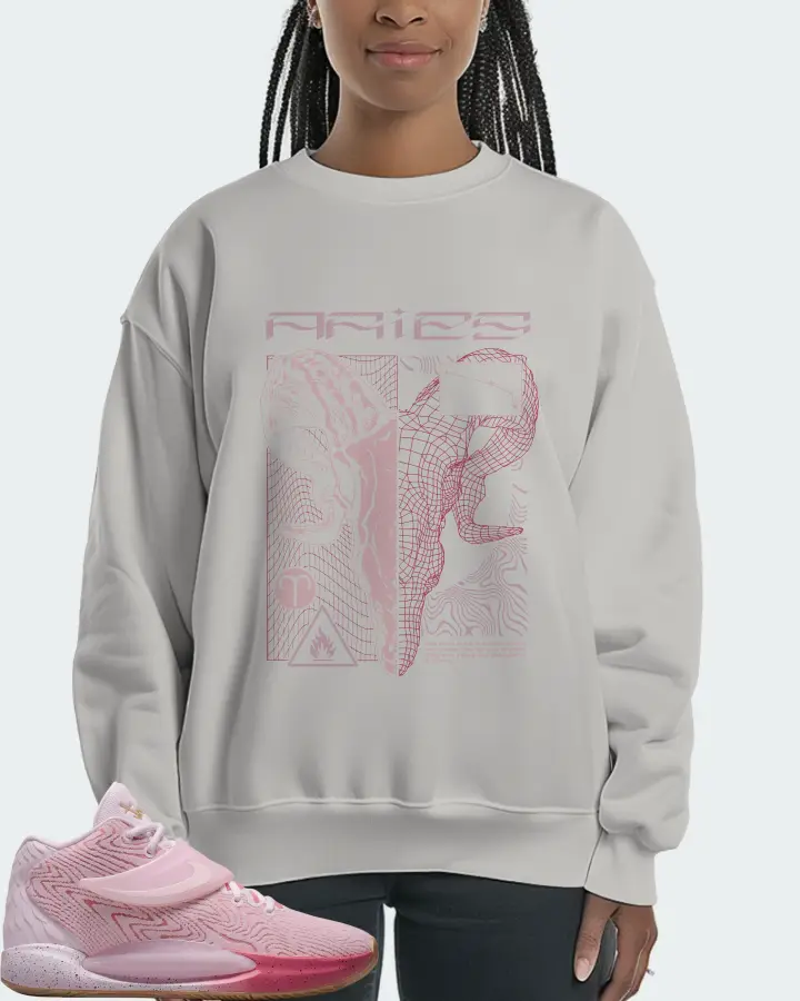 Nike KD 14 Sneaker Matching Grey Sweatshirt (ARIES) - View 3