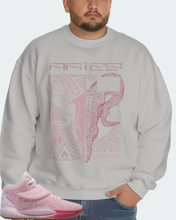 Nike KD 14 Sneaker Matching Grey Sweatshirt (ARIES) - View 6