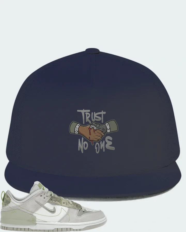 Nike Dunk Low Disrupt 2 Sneaker Matching Navy Hat - Trust No One