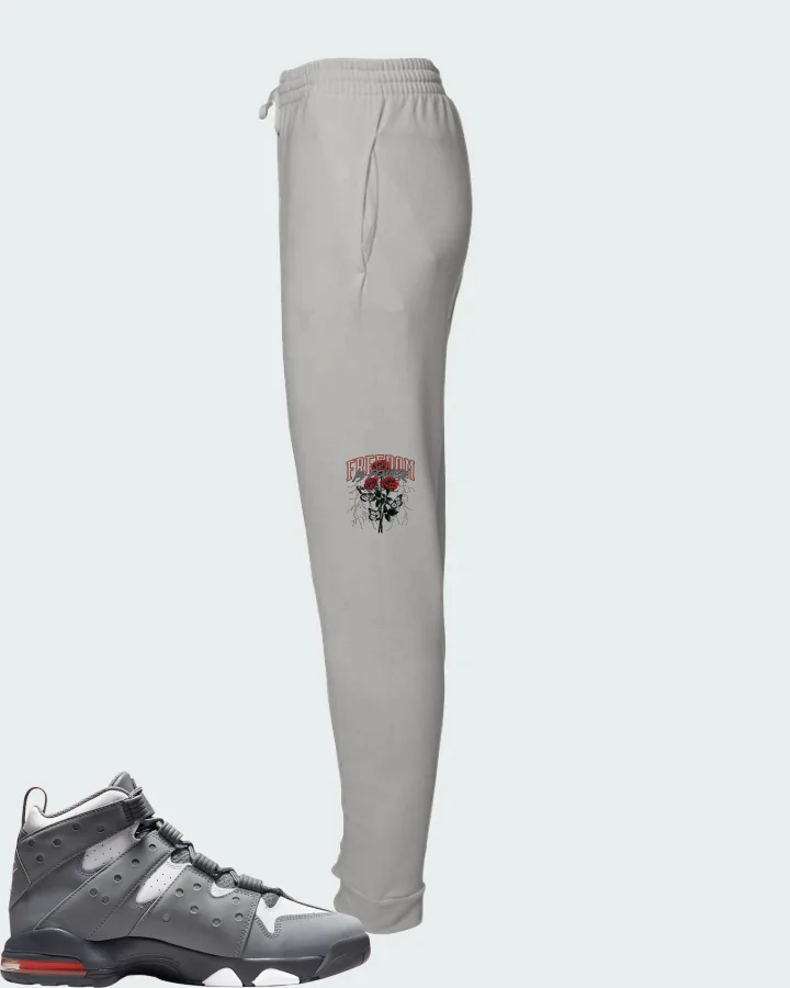 Nike Air Max 2 CB '94 Cool Grey Matching Joggers