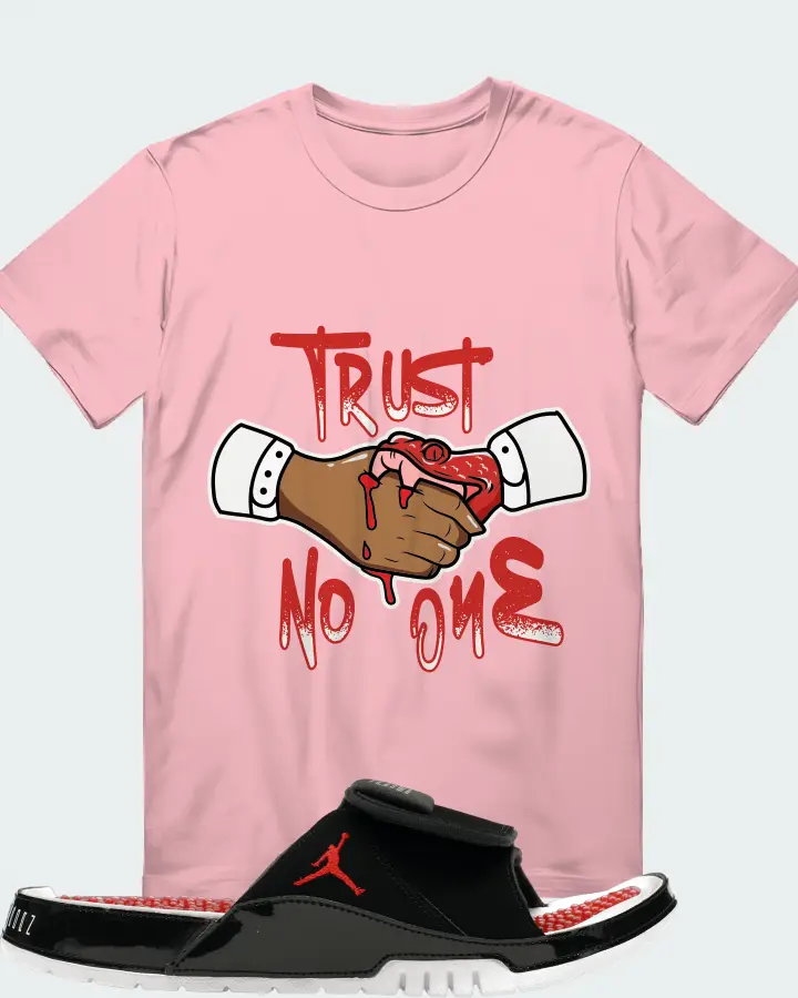 Jordan Hydro 11 Sneaker Matching Pink T-Shirt - Trust No One