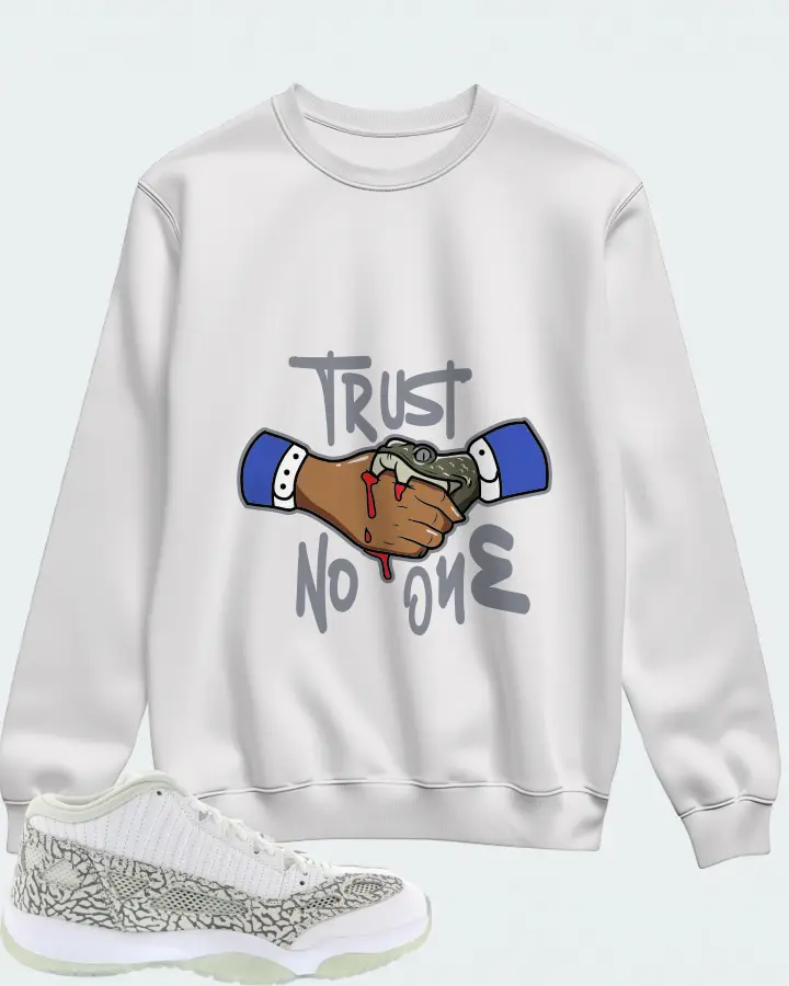 Jordan 11 Retro Low IE Sneaker Matching White Sweatshirt - Trust No One