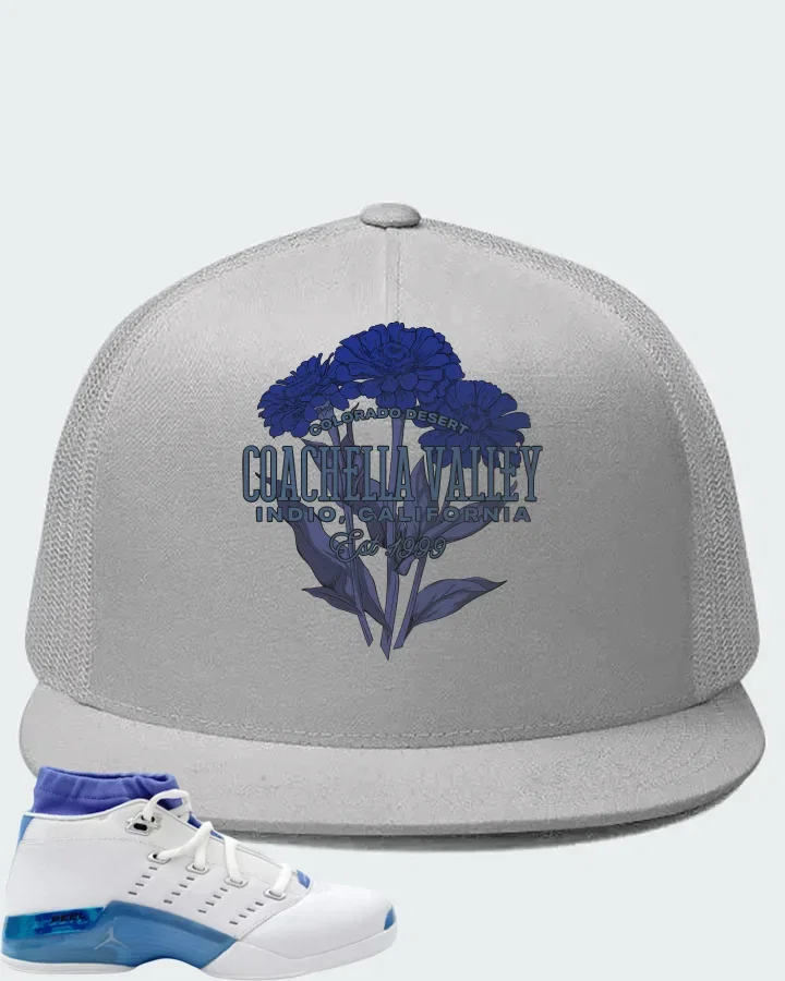 Air Jordan 17 Low University Blue Matching Hat