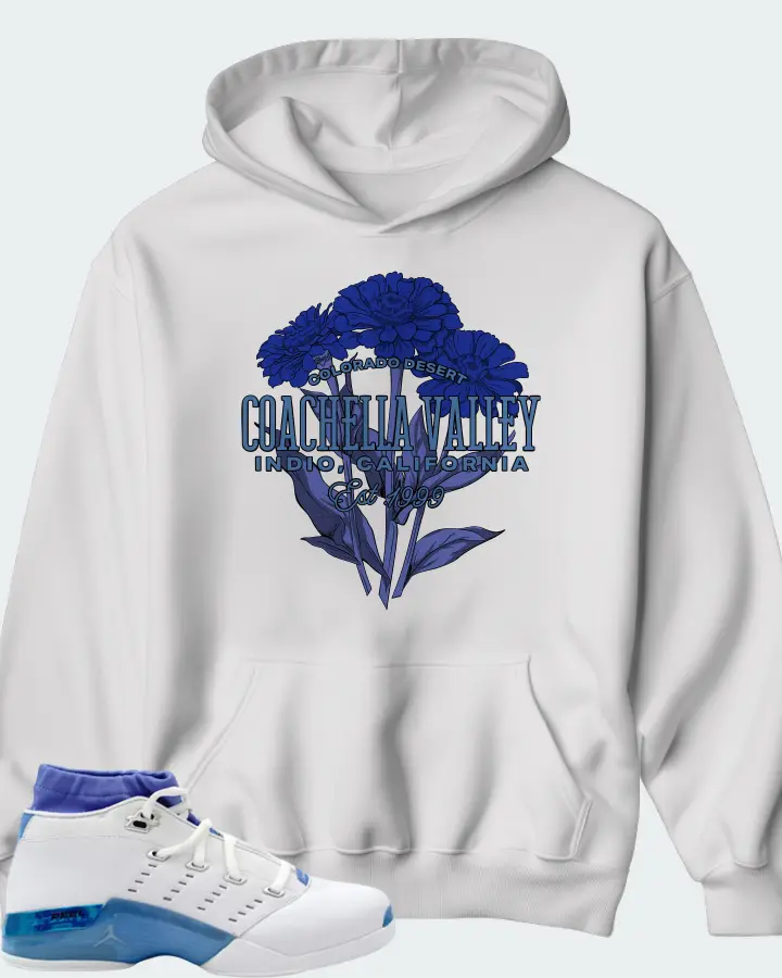Air Jordan 17 Low University Blue Matching Hoodie