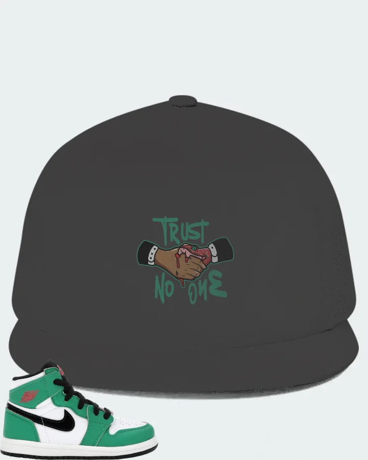 Jordan 1 Retro High Sneaker Matching Dark Grey Hat - Trust No One