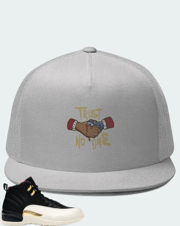 Jordan 12 Retro Sneaker Matching White Hat - Trust No One