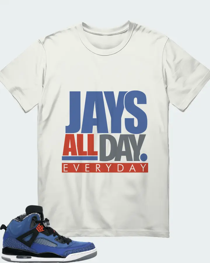 Jordan Spizike Sneaker Matching Ash T-Shirt - Jays All Day