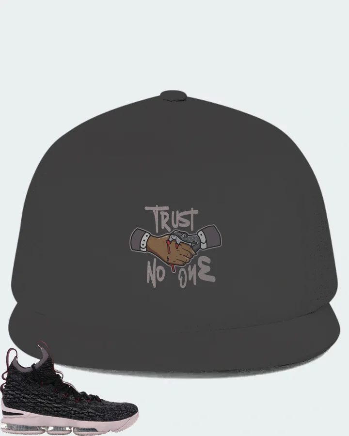 Nike LeBron 15 Sneaker Matching Dark Grey Hat - Trust No One