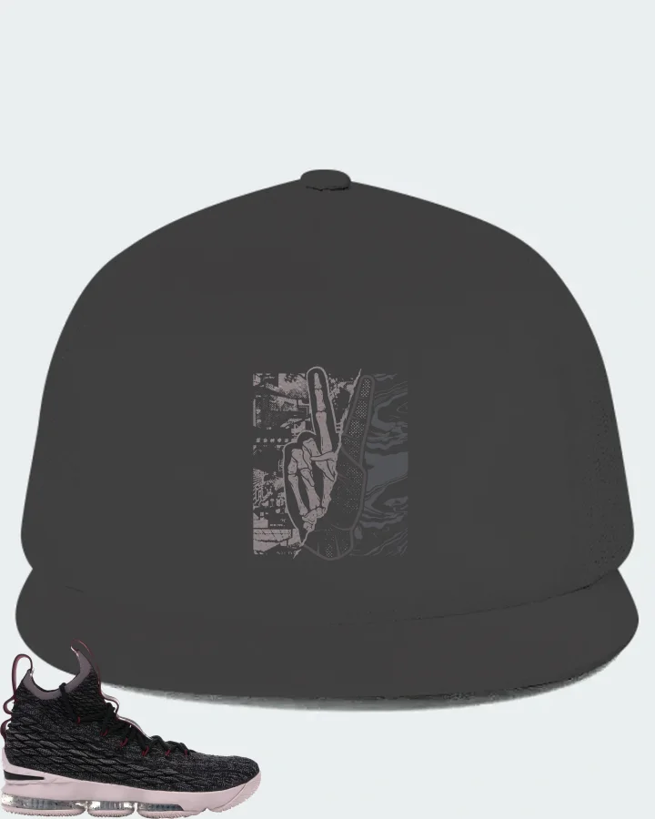 Nike LeBron 15 Sneaker Matching Dark Grey Hat - Peace of mind