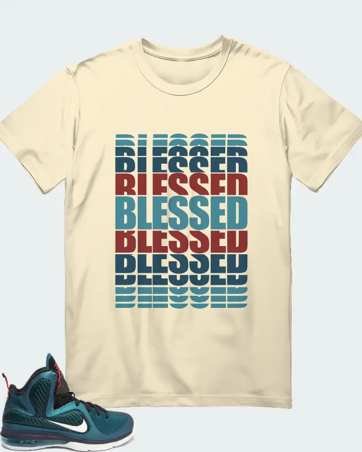 Nike LeBron 9 Sneaker Matching Natural T-Shirt - BLESSED Many Times