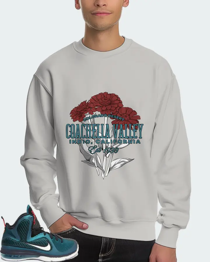 Nike LeBron 9 Sneaker Matching Grey Sweatshirt (Coachella Valley) - View 4