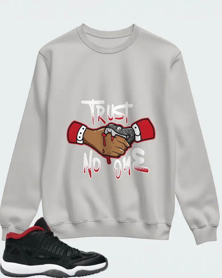 Jordan 11 Retro Low Sneaker Matching Grey Sweatshirt - Trust No One