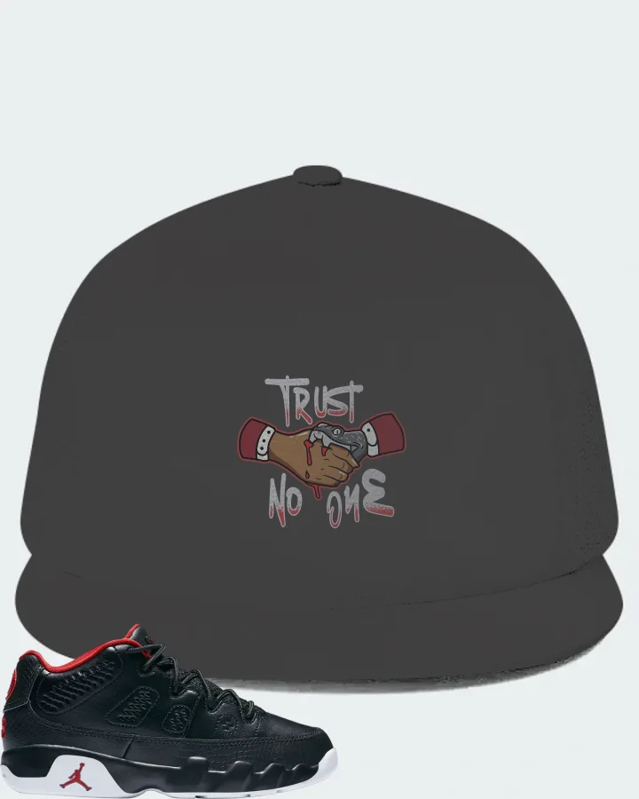 Jordan 9 Retro Low Snakeskin (PS) Sneaker Matching Dark Grey Hat - Trust No One