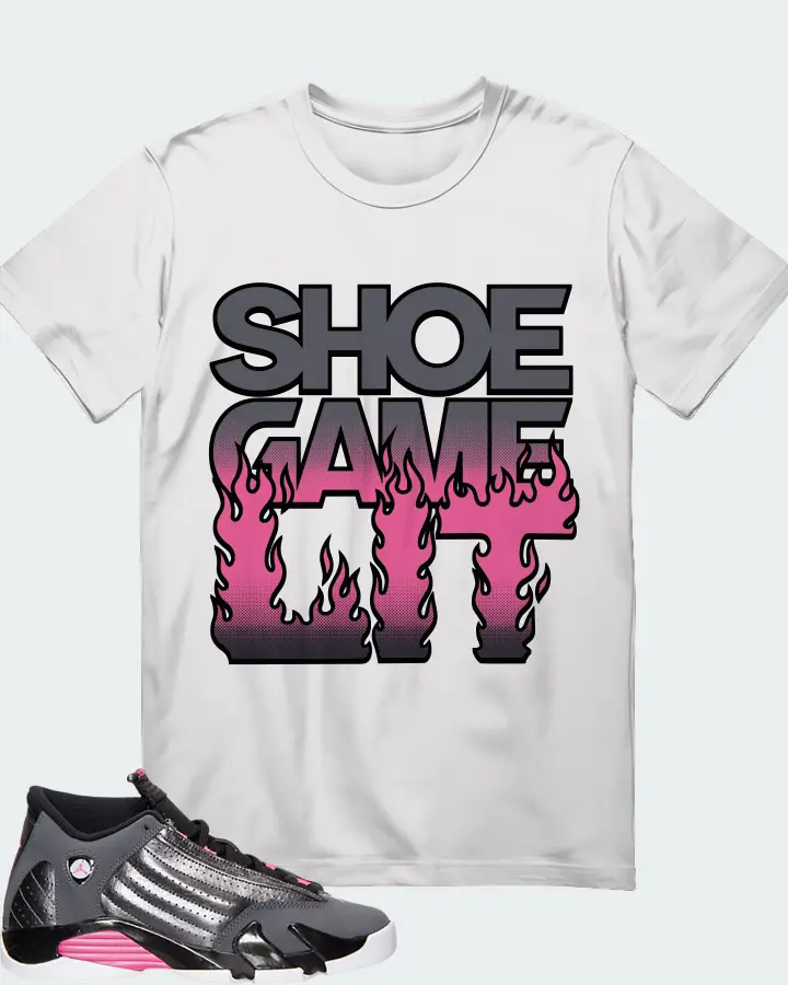 Jordan 14 Retro Sneaker Matching Gildan T-Shirt - Shoe Game Lit Refreshed