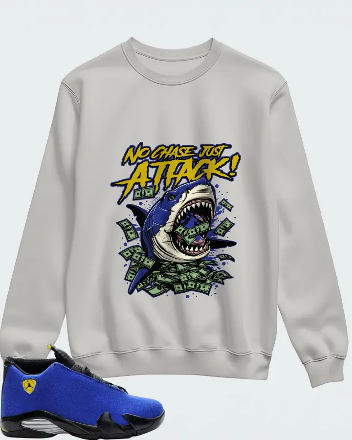 Air Jordan 14 Retro Blue Ferrari Matching Sweatshirt