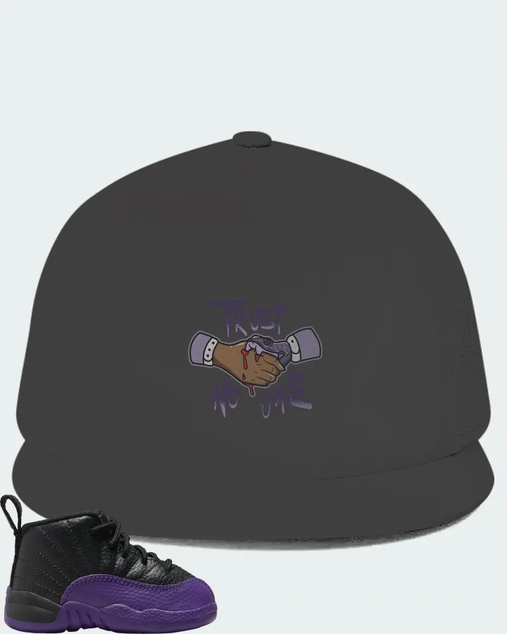 Jordan 12 Retro Sneaker Matching Dark Grey Hat - Trust No One