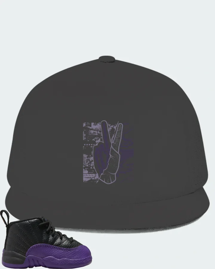 Jordan 12 Retro Sneaker Matching Dark Grey Hat - Peace of mind