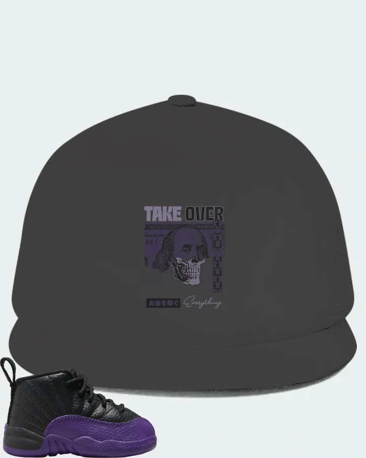 Jordan 12 Retro Sneaker Matching Dark Grey Hat - Take Over