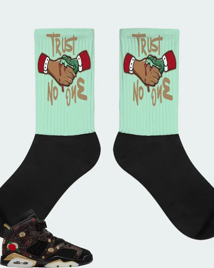 Jordan 6 Retro Sneaker Matching Mint Socks - Trust No One
