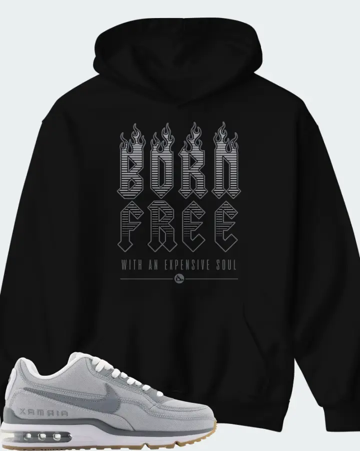 Air Max LTD 3 TXT Wolf Grey Matching Hoodie