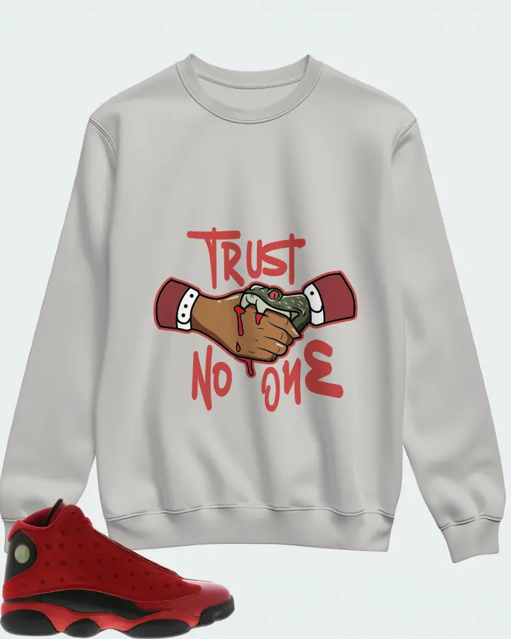 Jordan 13 Retro Sneaker Matching Grey Sweatshirt - Trust No One
