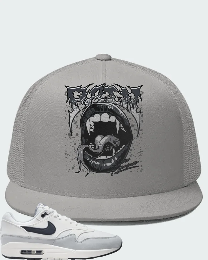 Nike Air Max 1 Pure Platinum Dark Obsidian Matching Hat