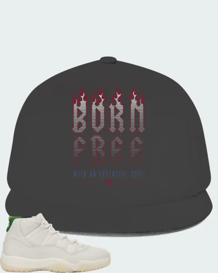 Air Jordan 11 285 Matching Hat