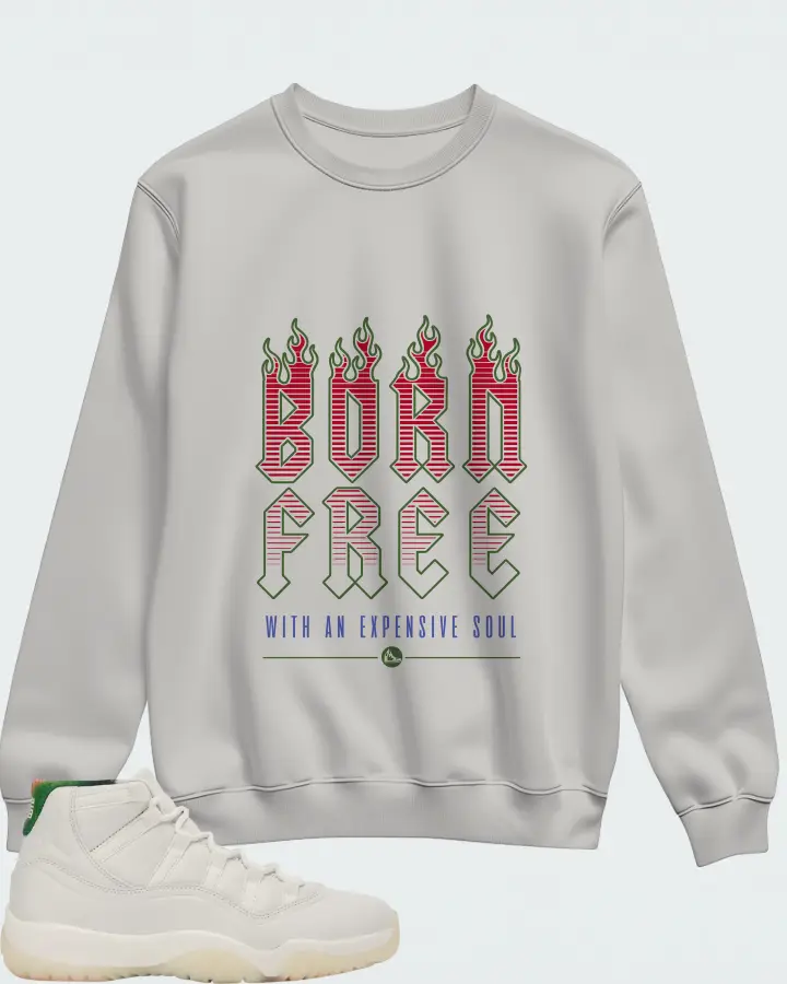 Air Jordan 11 285 Matching Sweatshirt