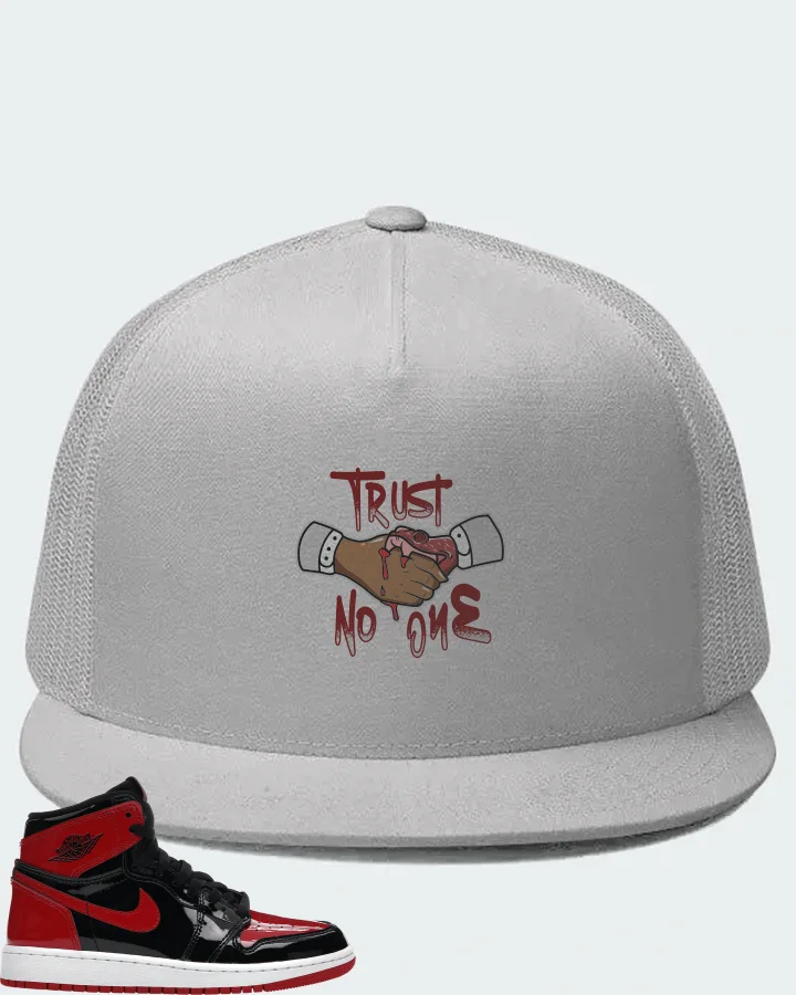 Jordan 1 Retro High OG Sneaker Matching White Hat - Trust No One
