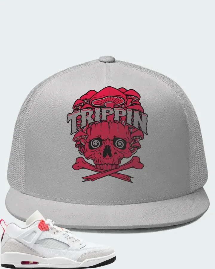 Air Jordan Spizike Low White Vast Grey Matching Hat