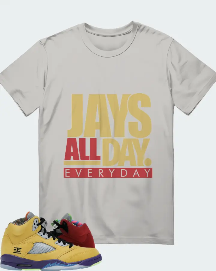 Jordan 5 Retro Sneaker Matching Grey T-Shirt - Jays All Day