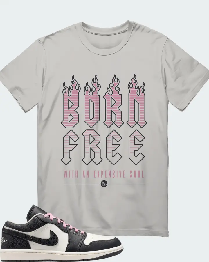Air Jordan 1 Low SE Iced Carmine Matching T-Shirt