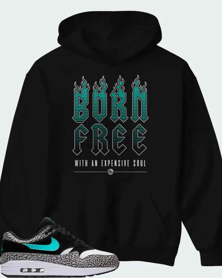 Atmos x Nike Air Max 1 Retro Elephant 2017 Matching Hoodie