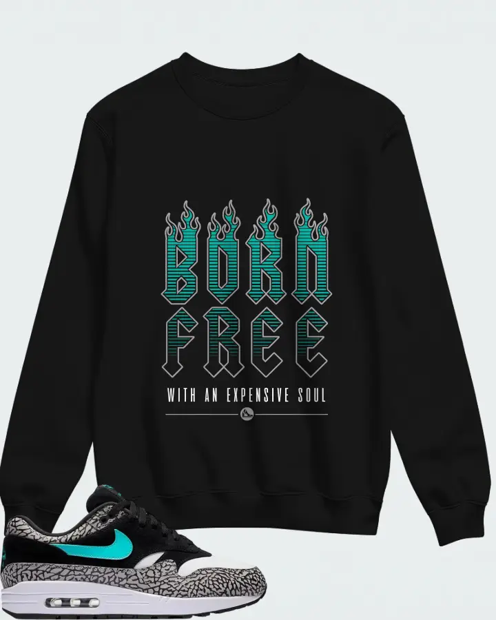 Atmos x Nike Air Max 1 Retro Elephant 2017 Matching Sweatshirt