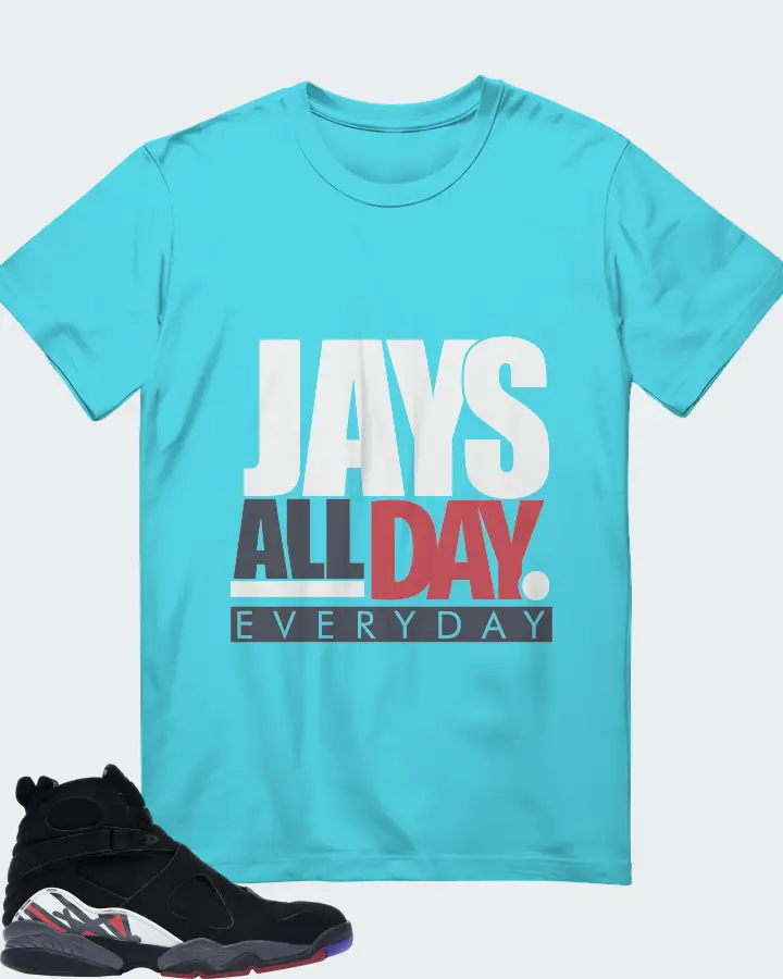 Jordan 8 Retro Sneaker Matching Turquoise T-Shirt - Jays All Day