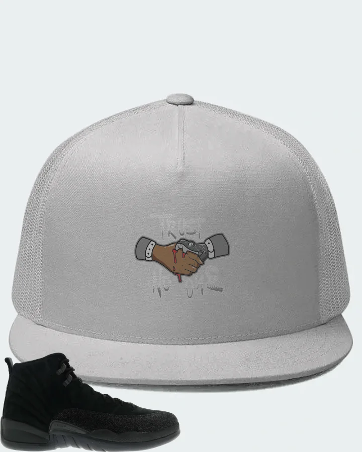 Jordan 12 Retro Sneaker Matching White Hat - Trust No One