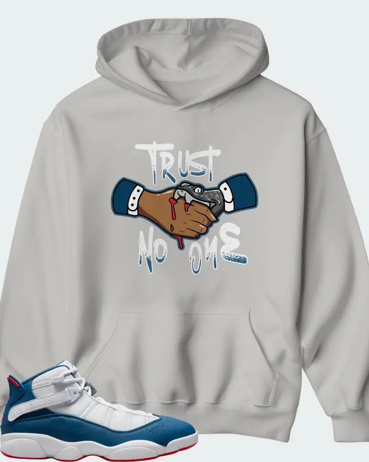 Jordan 6 Rings Sneaker Matching Grey Hoodie - Trust No One