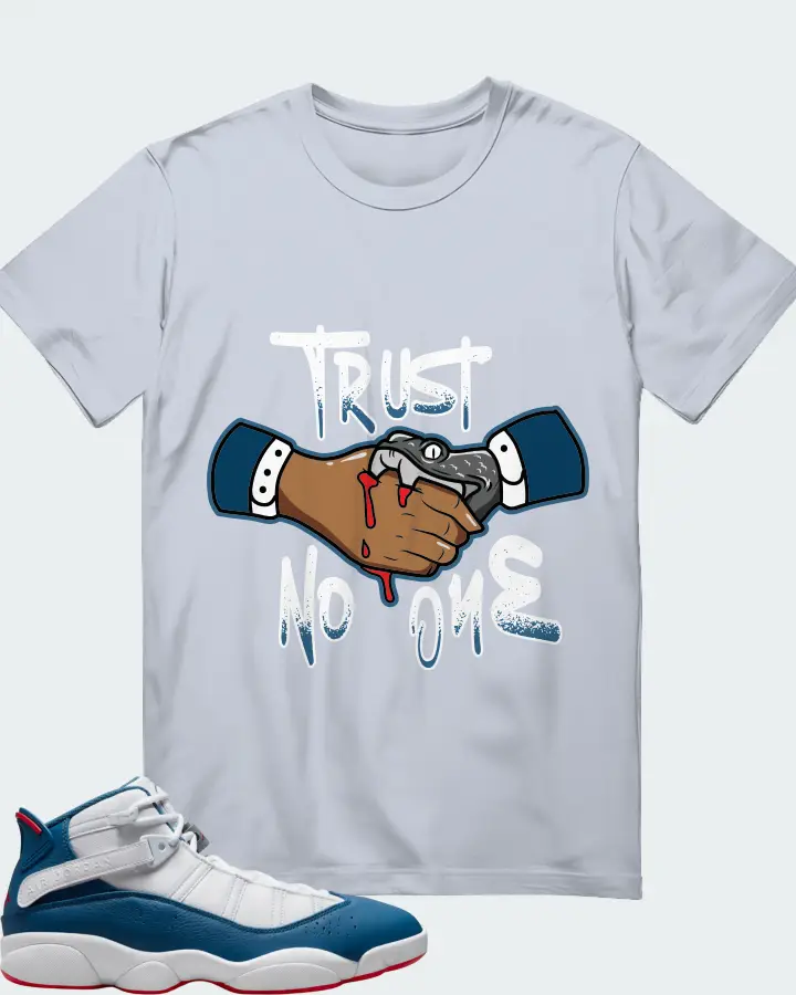 Jordan 6 Rings Sneaker Matching Light Blue T-Shirt - Trust No One