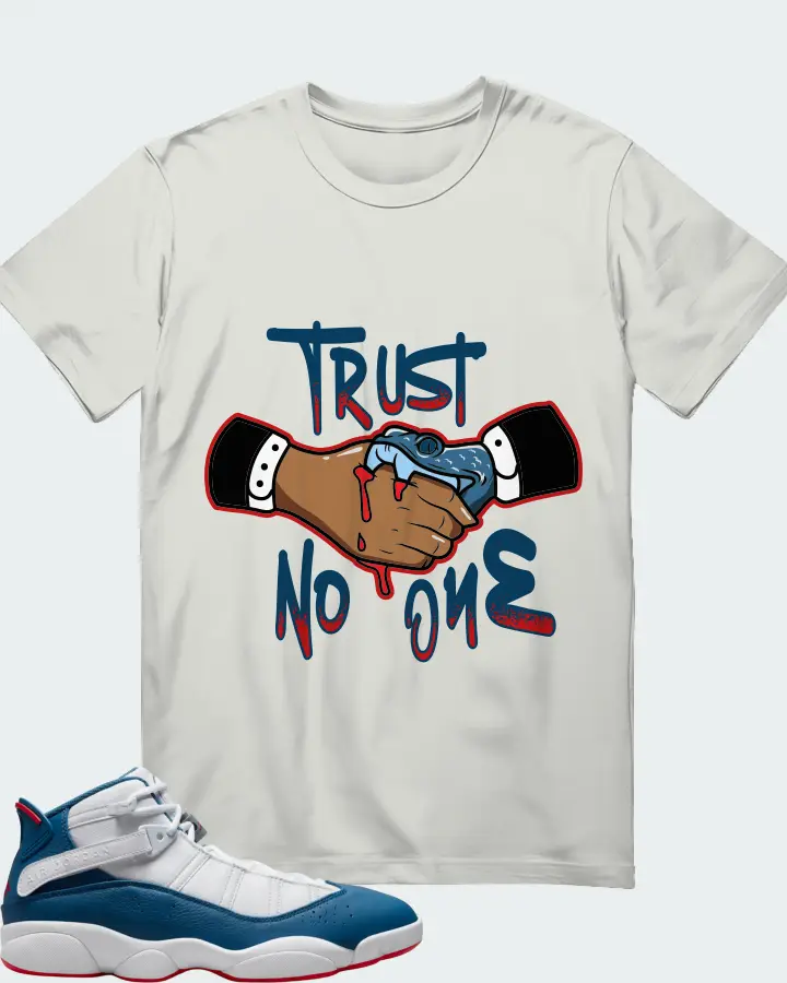Jordan 6 Rings Sneaker Matching Silver T-Shirt - Trust No One
