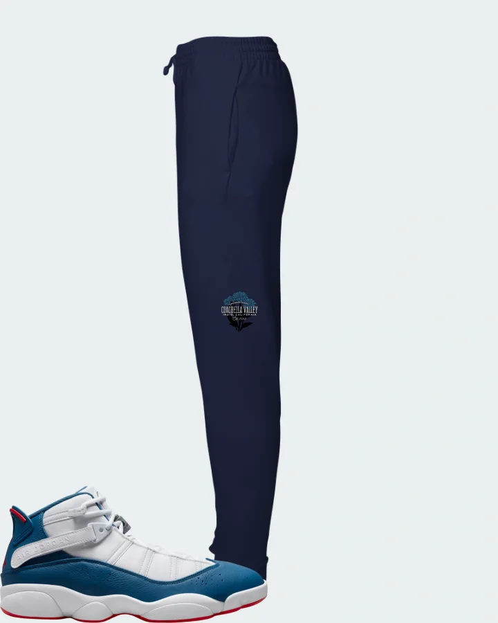 Joggers in Navy
